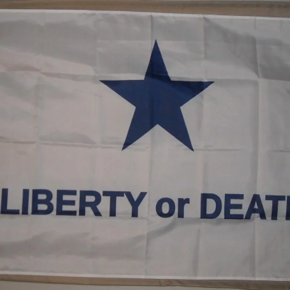 Troutman Georgia Volunteers Texas Liberty or Death 3' x 5' White Flag Banner